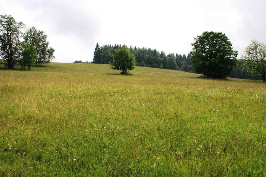 Gaestehaus Harzglueck Hotel Braunlage Buitenkant foto