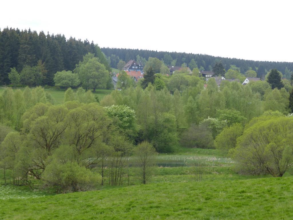 Gaestehaus Harzglueck Hotel Braunlage Buitenkant foto