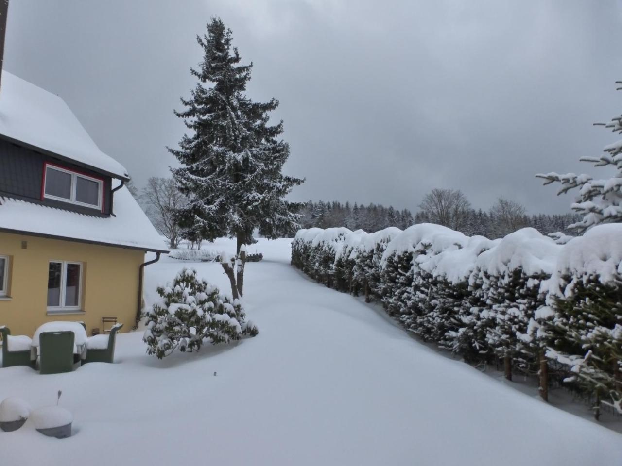 Gaestehaus Harzglueck Hotel Braunlage Buitenkant foto